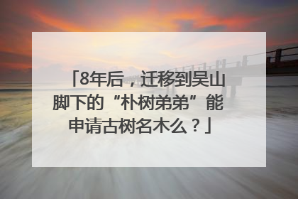 8年后，迁移到吴山脚下的“朴树弟弟”能申请古树名木么？